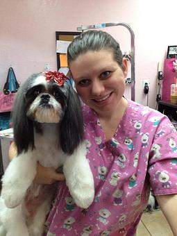 Product - A Touch of Class Pet Grooming, in downtown South Cape Coral - Cape Coral, FL Pet Boarding & Grooming