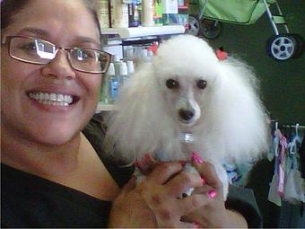 Product - A Touch of Class Pet Grooming, in downtown South Cape Coral - Cape Coral, FL Pet Boarding & Grooming