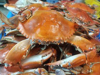 Product - A1A Crab House in Saint Augustine, FL Seafood Restaurants