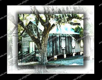 Product - Abby Photo in Old Mandeville - Mandeville, LA Photofinishing Laboratories