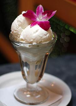 Product: Coconut Ice Cream - Agave in Ashland, OR Mexican Restaurants