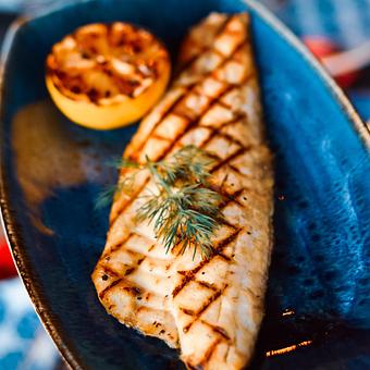 Product - Agora Tysons in MCLEAN, VA Lebanese Restaurants