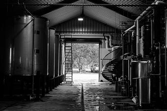 Product - Alice's Restaurant at Treaty Oak Distilling in Dripping Springs, TX American Restaurants