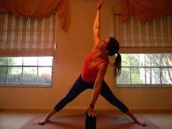 Product - Alive With Yoga in Sarasota, FL Yoga Instruction