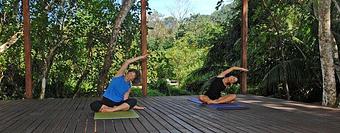 Product - Alive With Yoga in Sarasota, FL Yoga Instruction