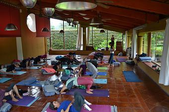 Product - Alpha Omega Yoga in Dallas, TX Yoga Instruction Product - Alpha Omega Yoga in Dallas, TX Yoga Instruction