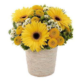 Product - Apache Flowers and Gifts in Apache, OK Florists