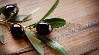 Product - Argana Tree Restaurant in Jenkintown, PA Greek Restaurants