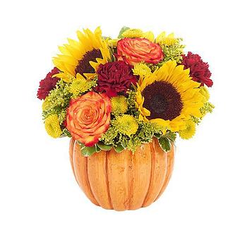 Product - Arjuna Florist And Design Tlo in Brockport, NY Florists