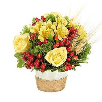 Product - Arjuna Florist And Design Tlo in Brockport, NY Florists