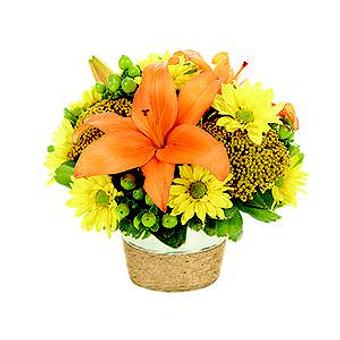 Product - Arjuna Florist And Design Tlo in Brockport, NY Florists