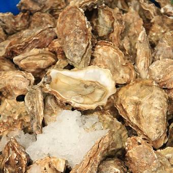 Product - Bahama’s Crabshack Carryout & Seafood Outlet in Fenwick Island, DE Seafood Restaurants