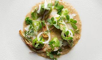 Product - Bar Verde in New York, NY Bars & Grills