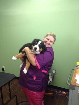 Product - Barking Lot Grooming Salon in Rockford, IL Pet Boarding & Grooming