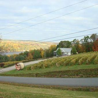 Product - Barrington Cellars in Penn Yan, NY Food & Beverage