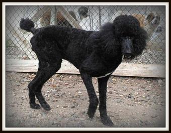 Product - Bed & Bone Too in Buffalo, MN Bedroom Furniture Product - Bed & Bone Too in Buffalo, MN Bedroom Furniture