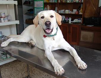 Product - Bed & Bone Too in Buffalo, MN Bedroom Furniture Product - Bed & Bone Too in Buffalo, MN Bedroom Furniture