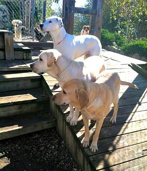 Product - Bed & Bone Too in Buffalo, MN Bedroom Furniture Product - Bed & Bone Too in Buffalo, MN Bedroom Furniture