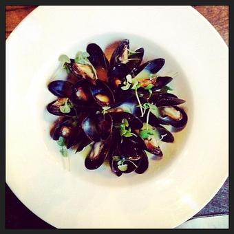 Product - Bella Gioia in Park Slope, Brooklyn NY - Brooklyn, NY Italian Restaurants