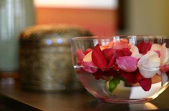 Product - Bella Terra Organic Spa and Shoppe in Evansville, IN Day Spas