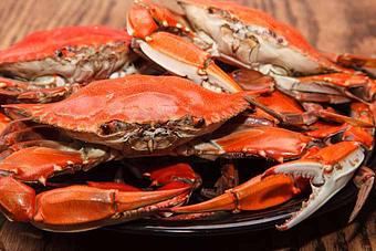 Product - Ben's Crab in Oceanside, NY Restaurants/Food & Dining