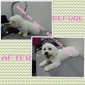 Product - Best Pets in Pacifica, CA Pet Shop Supplies