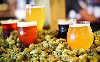 Product - Biscuit Bar in Louisville, CO Coffee, Espresso & Tea House Restaurants Product - Biscuit Bar in Louisville, CO Coffee, Espresso & Tea House Restaurants