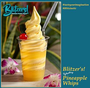 Product - Blitzer's Premium Frozen Yogurt in Menifee, CA Dessert Restaurants