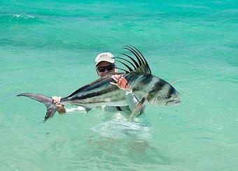 Product - Blue Ribbon Flies in West Yellowstone, MT Sports & Recreational Services