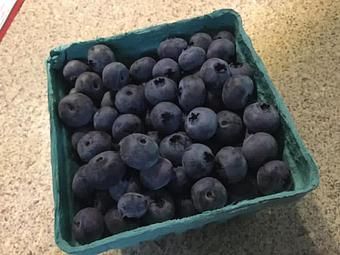 Product - Blueberry Haus Downtown in Brattleboro, VT Dessert Restaurants