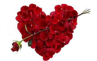 Product - Boulevard Florist Wholesale Market in Lawndale, CA Florists