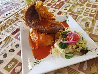Product - Brasa Ardiente Restaurant in Pascagoula, MS Caribbean Restaurants