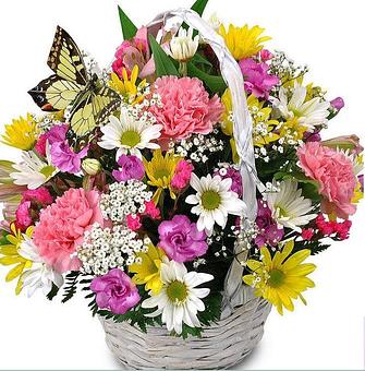 Product - Breen's Spring Florist in Spring, TX Florists