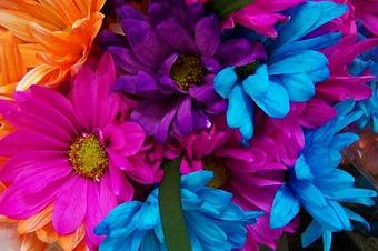 Product - Breen's Spring Florist in Spring, TX Florists