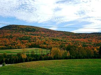 Product - Bringing You Vermont in Bennington, VT Coffee, Espresso & Tea House Restaurants