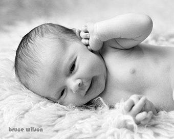 Product - Bruce Wilson Photography in Kissimmee, FL Misc Photographers