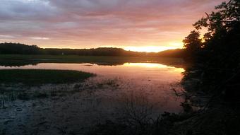 Product: Some of the best sunsets in Southern Maine! - Buffleheads Restaurant At Hills Beach in Biddeford, ME American Restaurants