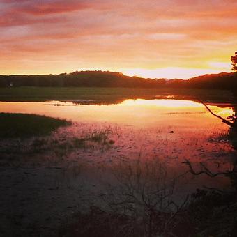 Product: Beautiful sunsets almost everyday at Buffleheads Restaurant! It's amazing! - Buffleheads Restaurant At Hills Beach in Biddeford, ME American Restaurants