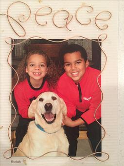 Product - Buggs Pest Control in Champlin, MN Pest Control Services