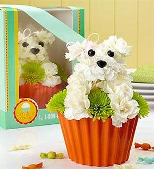 Product - Bumble Bee Flowers in San Antonio, TX Shopping & Shopping Services