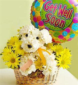 Product - Bumble Bee Flowers in San Antonio, TX Shopping & Shopping Services