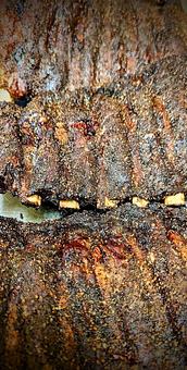 Product - C.A.Y.A Smokehouse Grill in Wolverine Lake - Wolverine Lake, MI American Restaurants Product - C.A.Y.A Smokehouse Grill in Wolverine Lake - Wolverine Lake, MI American Restaurants