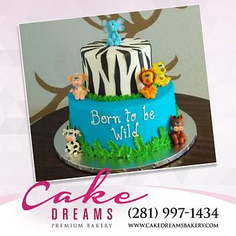 Product: Let your imagination help you! - Cake Dreams Bakery in Pearland, TX Bakeries