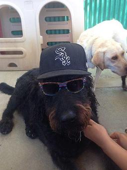 Product - Camp Ilene in Corona, CA Campgrounds