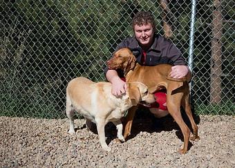 Product - Canine's Canyon in Golden, CO Pet Boarding & Grooming