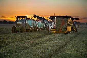 Product: California Agriculture Photos - Captivating Photos in Stockton, CA Photofinishing Laboratories