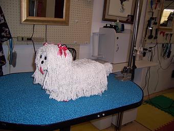 Product - Carol's Pretty Pet Salon in Topeka, KS Pet Boarding & Grooming