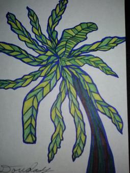 Product - Cdartsartgallery in Los Molinos, CA Entertainment & Recreation