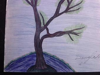 Product - Cdartsartgallery in Los Molinos, CA Entertainment & Recreation