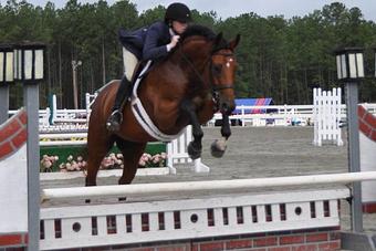 Product - Cedarhill Farm in Waxhaw, NC Farms